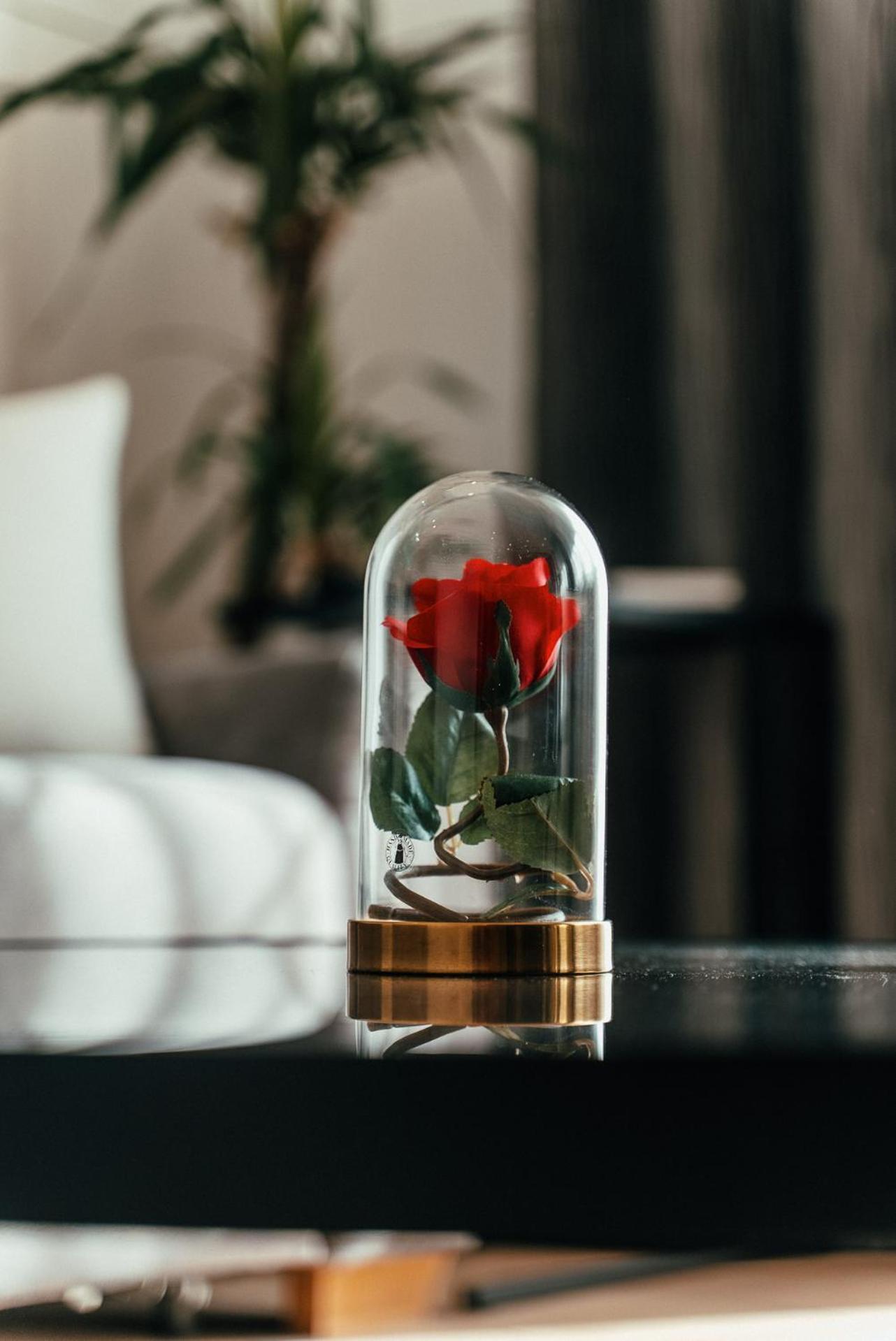 Biarritz Luxury Apartments Белград Екстериор снимка
